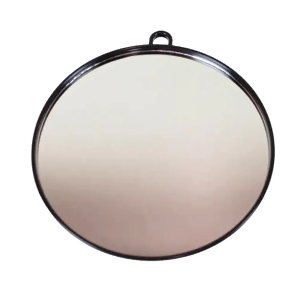 Point Profesyonel Oval El Aynası